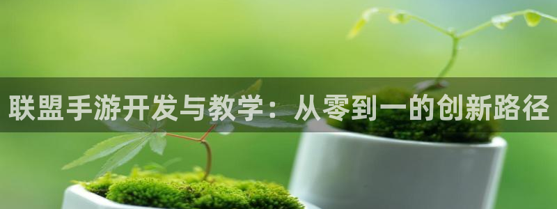 万赢棋牌：联盟手游开发与教学：从零到一的创新路径