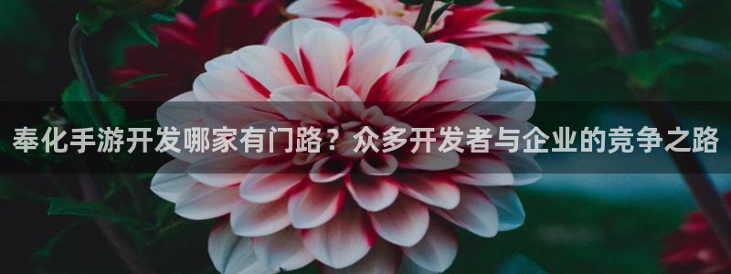 万赢娱乐积分商城：奉化手游开发哪家有门路？众多开发者与企业的
