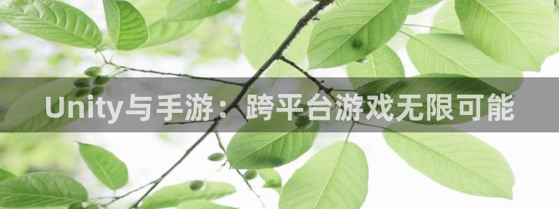 万赢娱乐电子游戏网址