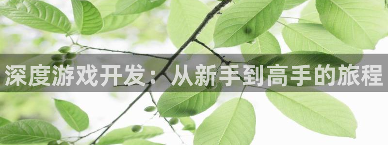 万赢娱乐三日一富下载：深度游戏开发：从新手到高手的旅程