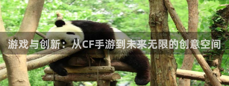 万赢娱乐最新通道：游戏与创新：从CF手游到未来无限的创意空间