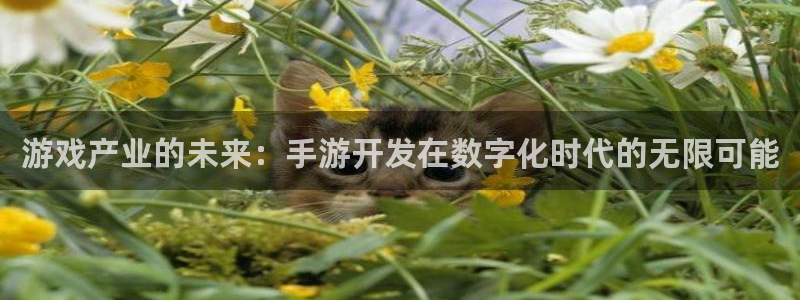 远赢娱乐是正规平台吗：游戏产业的未来：手游开发在数字化时代的