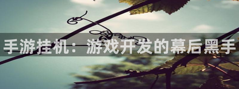 wy万赢娱乐：手游挂机：游戏开发的幕后黑手