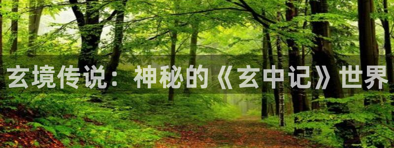 万赢娱乐网址：玄境传说：神秘的《玄中记》世界