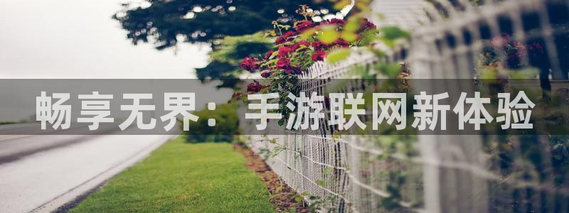 万赢娱乐优惠活动：畅享无界：手游联网新体验