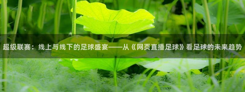 178直播体育赛事nba新版.好游网.org：超级联赛：线上与线下的足球盛宴——从《网页直播足球》看足球的未来趋势