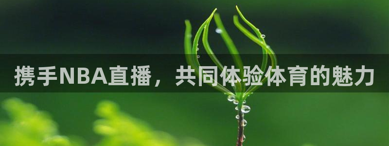 178足球赛事免费直播：携手NBA直播，共同体验体育的魅力