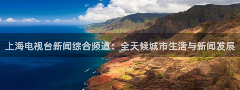 178直播体育足球：上海电视台新闻综合频道：全天候城市生活与新闻发展