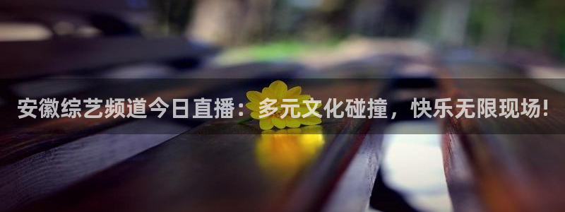 雨燕直播178足球比赛：安徽综艺频道今日直播：多元文化碰撞，快乐无限现场!