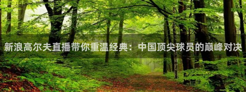 178体育在线直播官网：新浪高尔夫直播带你重温经典：中国顶尖球员的巅峰对决