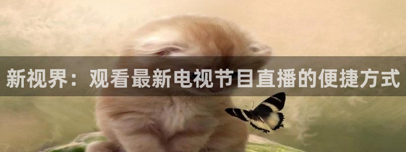 178nba直播免费观看直播在线：新视界：观看最新电视节目直播的便捷方式