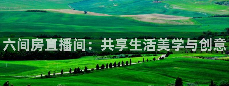 178体育直播app：六间房直播间：共享生活美学与创意