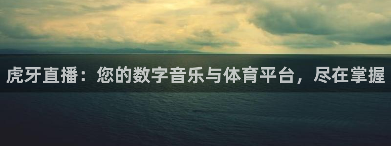 nba直播在线观看免费178：虎牙直播：您的数字音乐与体育平台，尽在掌握