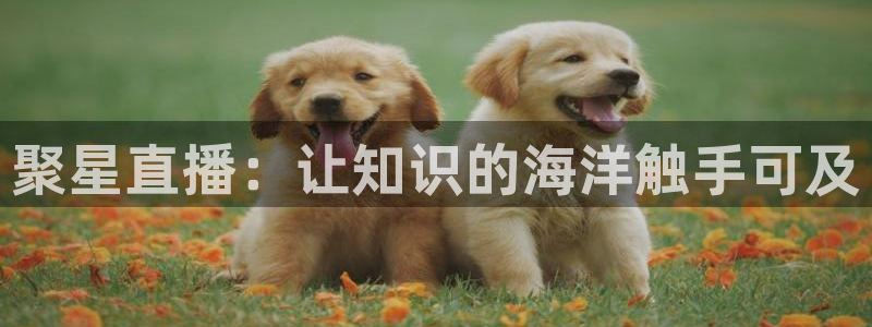 178体育nba直播