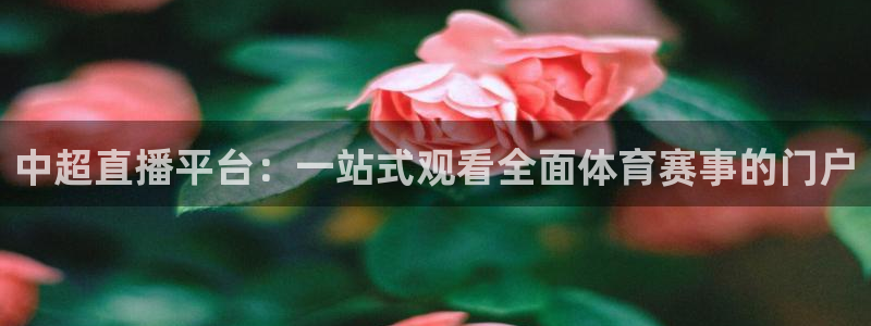 178篮球直播 足球直播：中超直播平台：一站式观看全面体育赛事的门户