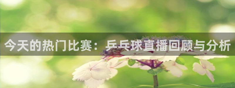 178体育直播官网版：今天的热门比赛：乒乓球直播回顾与分析