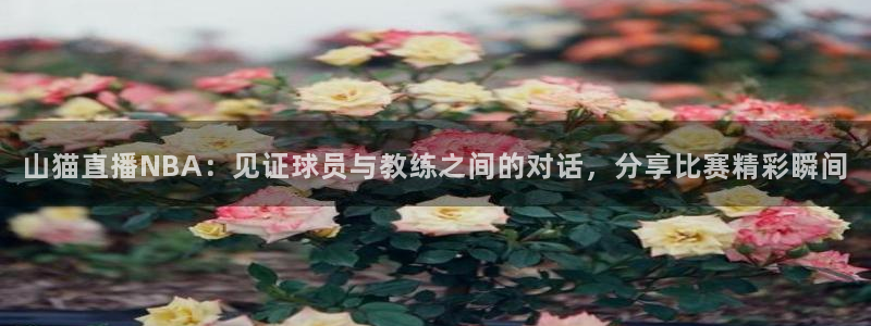 nba直播178在线直播：山猫直播NBA：见证球员与教练之间的对话，分享比赛精彩瞬间
