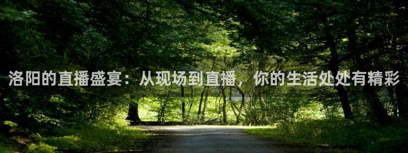 24直播免费足球直播178：洛阳的直播盛宴：从现场到直播，你的生活处处有精彩